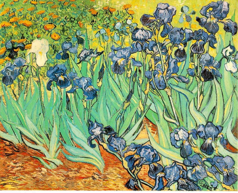 Irises by Vincent van Gogh, J. Paul Getty Museum